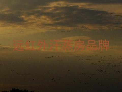 远红外汗蒸房品牌