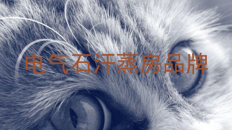 电气石汗蒸房品牌