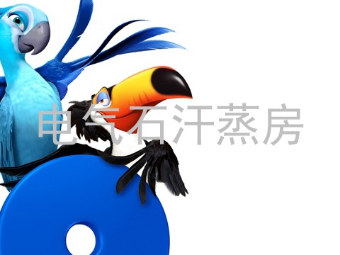 电气石汗蒸房