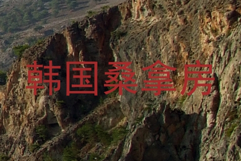 韩国桑拿房