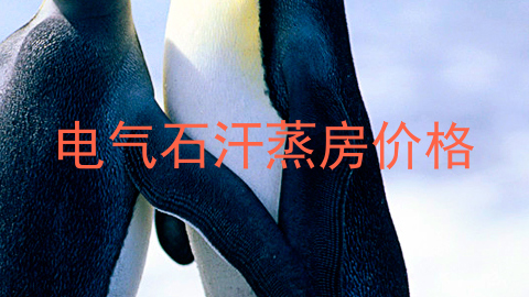 电气石汗蒸房价格