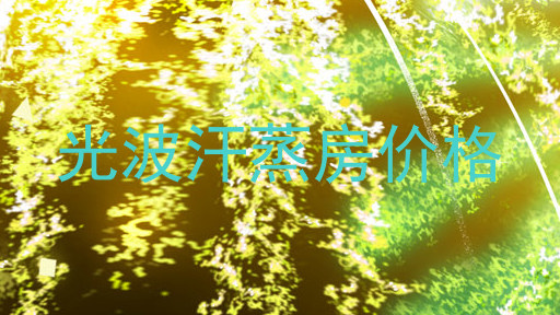 光波汗蒸房价格