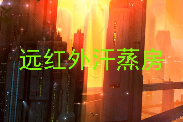 远红外汗蒸房