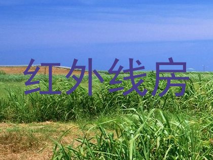 红外线房