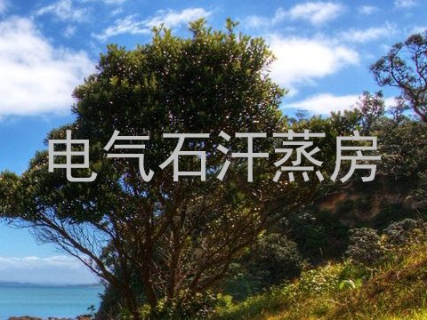 电气石汗蒸房