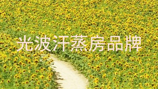 光波汗蒸房品牌