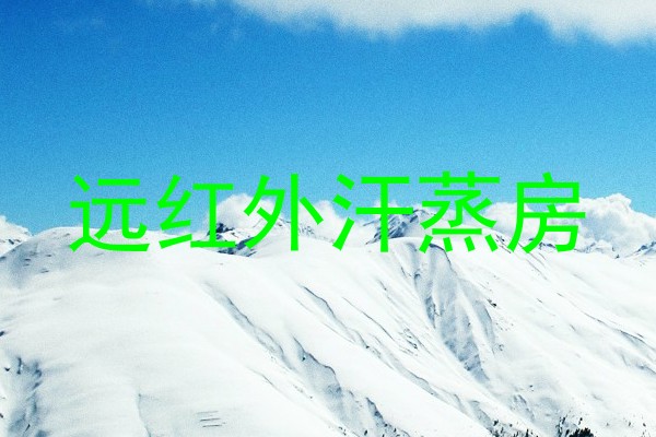远红外汗蒸房