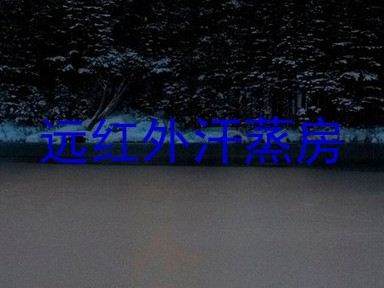 远红外汗蒸房