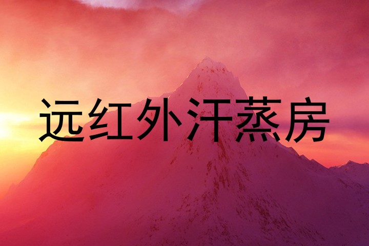 远红外汗蒸房