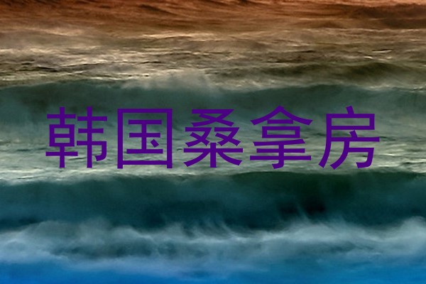 韩国桑拿房