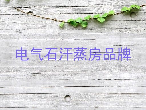 电气石汗蒸房品牌
