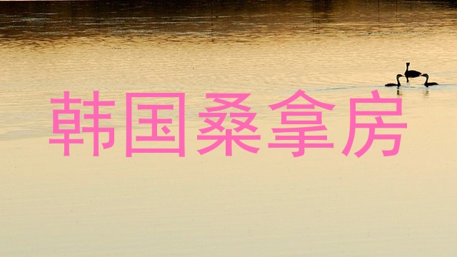 韩国桑拿房