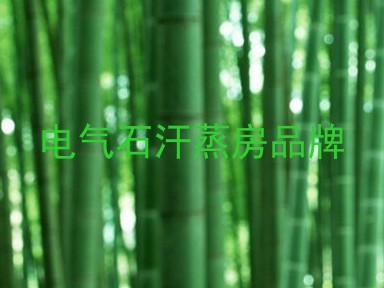 电气石汗蒸房品牌