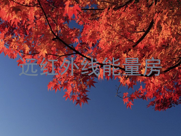远红外线能量房