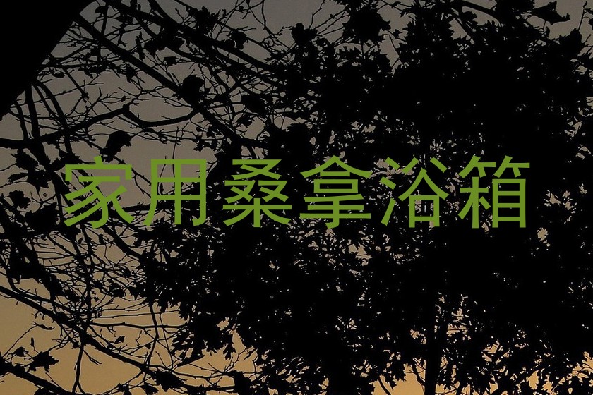 家用桑拿浴箱