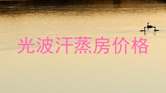 光波汗蒸房价格