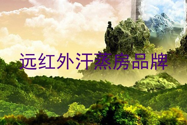 远红外汗蒸房品牌
