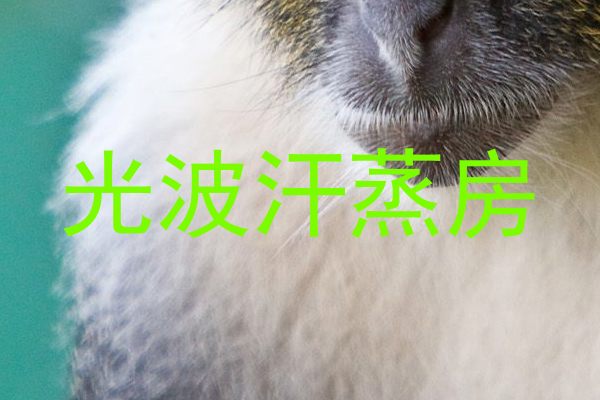 光波汗蒸房