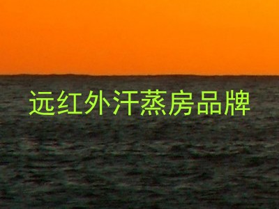 远红外汗蒸房品牌