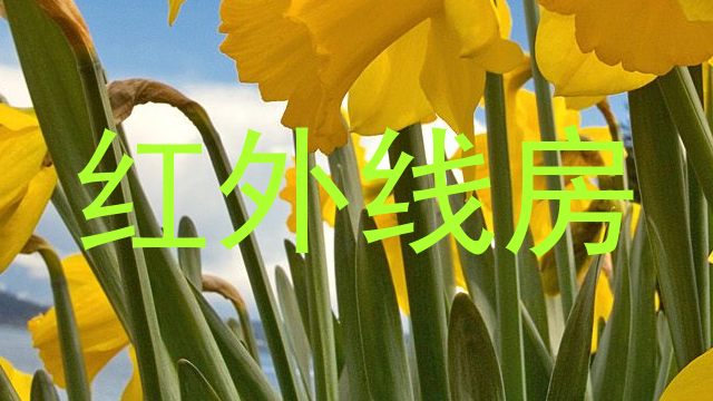 红外线房