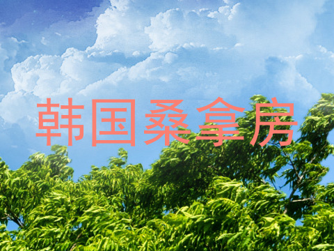 韩国桑拿房