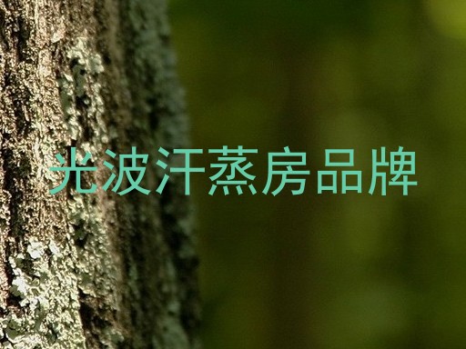光波汗蒸房品牌