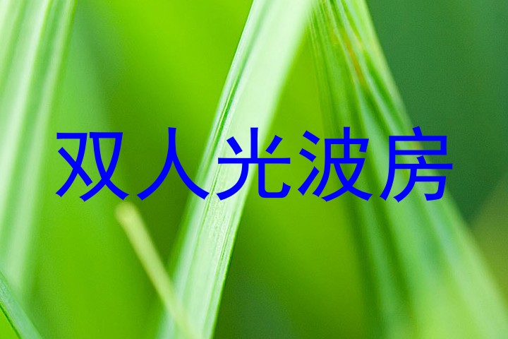 双人光波房