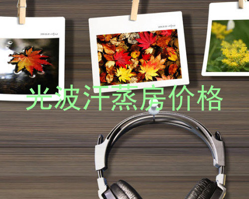 光波汗蒸房价格