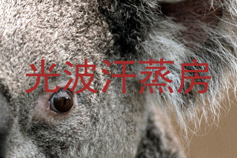 光波汗蒸房