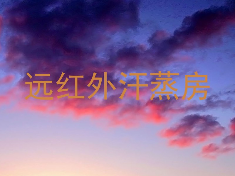 远红外汗蒸房