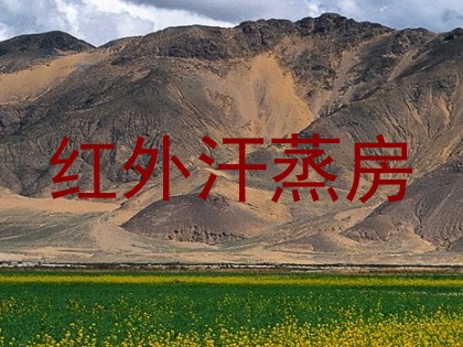 红外汗蒸房