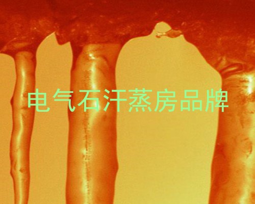电气石汗蒸房品牌