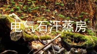 电气石汗蒸房