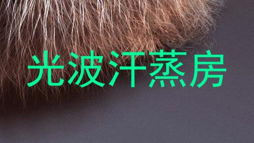 光波汗蒸房