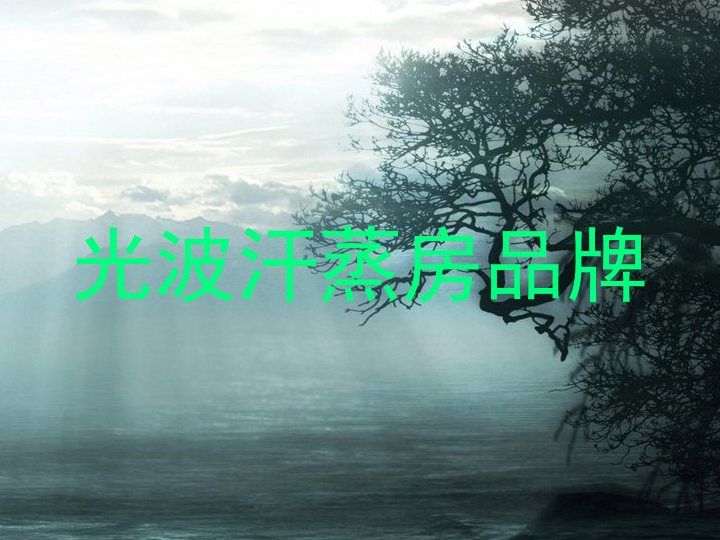 光波汗蒸房品牌