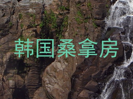 韩国桑拿房