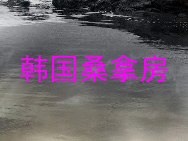 韩国桑拿房