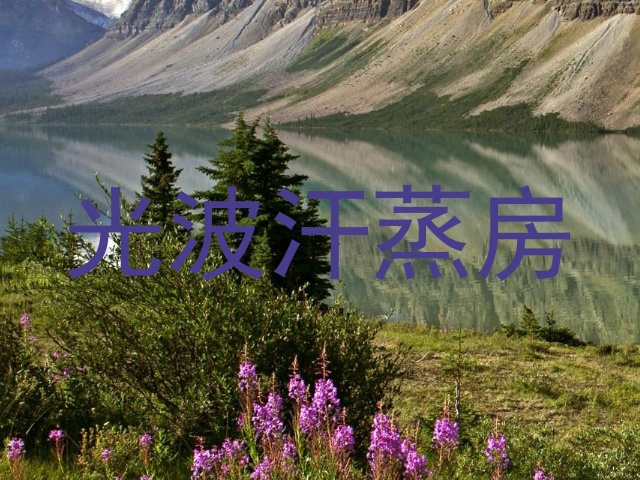光波汗蒸房