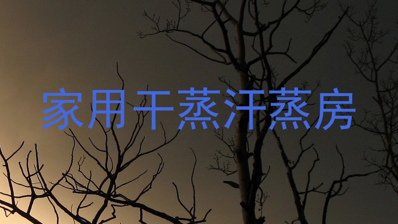 家用干蒸汗蒸房