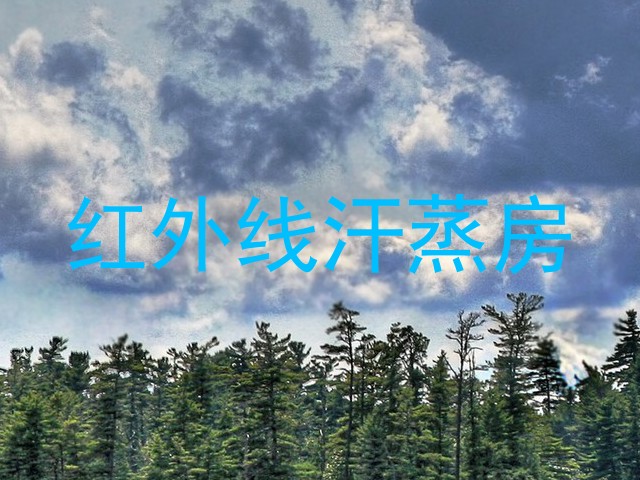 红外线汗蒸房