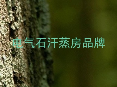 电气石汗蒸房品牌