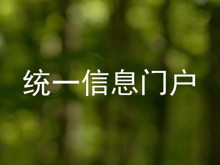 统一信息门户