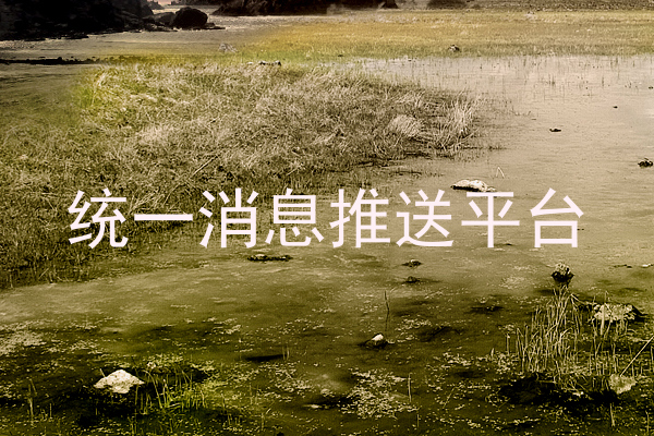 统一消息推送平台