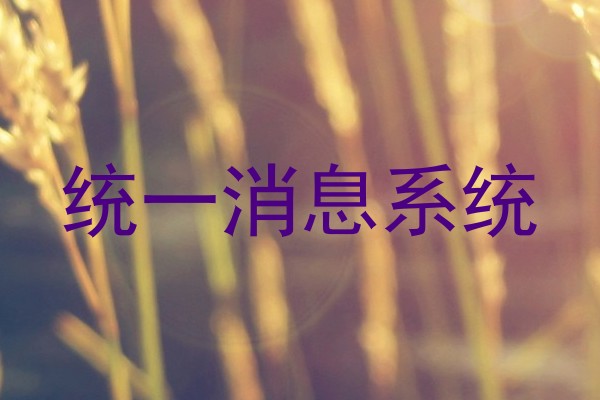 统一消息系统