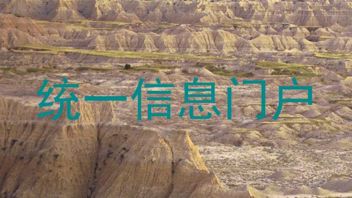 统一信息门户