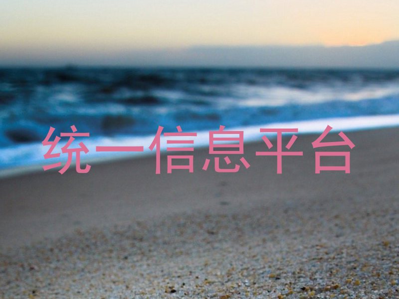 统一信息平台