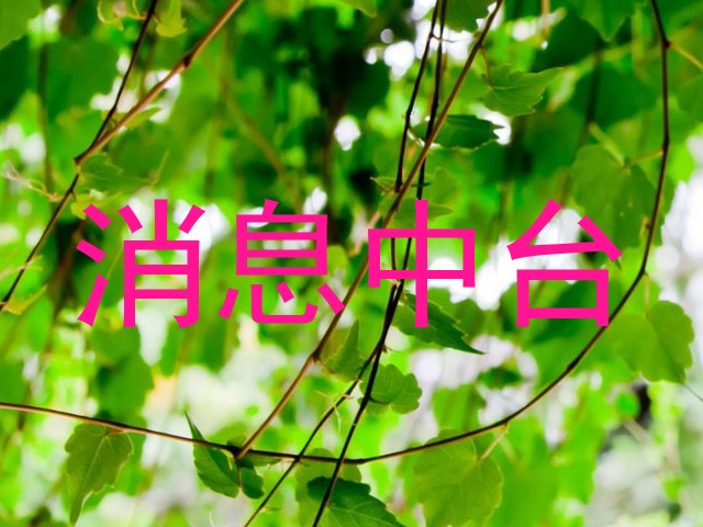 消息中台