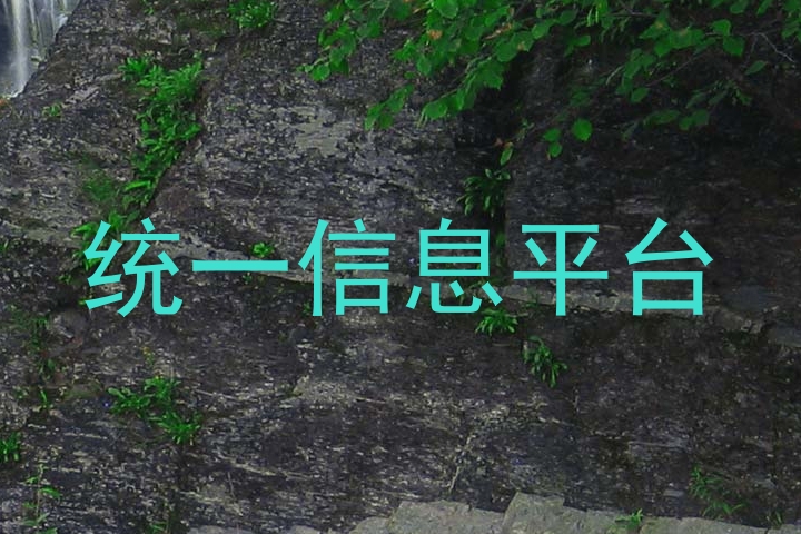 统一信息平台
