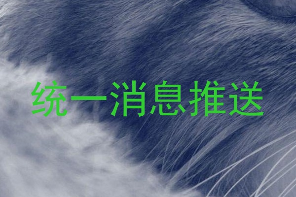 统一消息推送