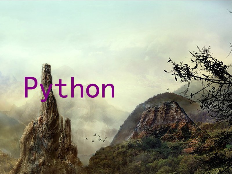 Python